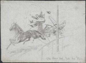 The Horse that took the Pole