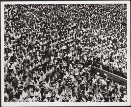 Polo Grounds, audience