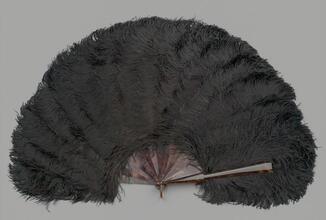 Folding feather fan of black ostrich