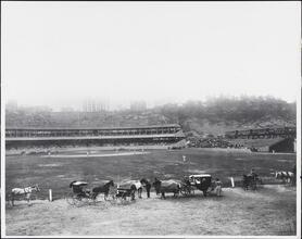 [The Polo Grounds.]