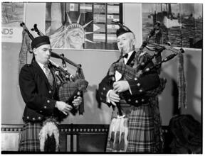 Scotch American