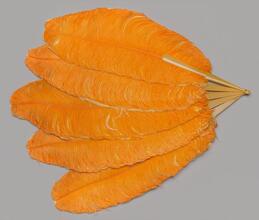 Folding feather fan of yellow and orange ostrich