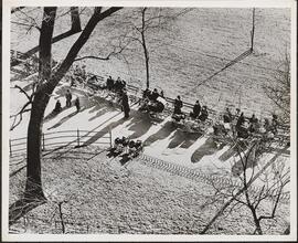 Central Park benches