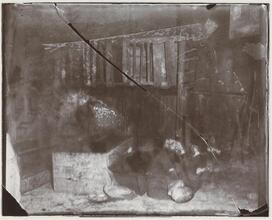 A Tramp's nest in Ludlow Street.