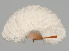 Folding feather fan of white ostrich