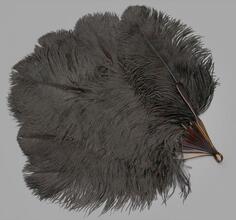Folding feather fan of black ostrich