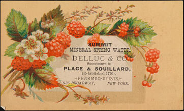 Summit Mineral Spring Water. Delluc & Co., Pharmaceutists