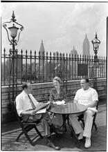 Beth Israel Hospital. Stuyvesant Square. Group of three, roof garden.