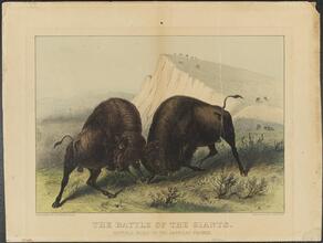 The Battle of the Giants.