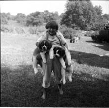 A Dog's Life in the Big City [Boy carrying two puppies.]