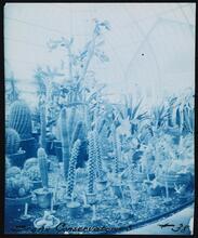 [Bronx Conservatories.]