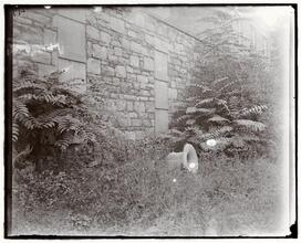 Old Marble Cemetery Wall.