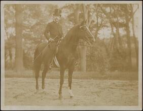 [Count Gregor, Russian ambassador.]