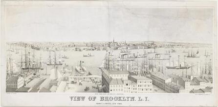 View of Brooklyn, L.I.