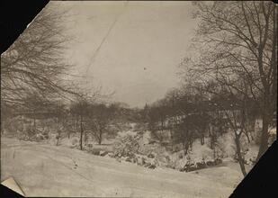 [Snow scene in Central Park.]