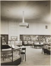 Bonwit Teller