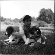 A Dog's Life in the Big City [Boys with two puppies.]