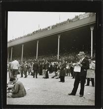 Aqueduct Race Track [Audience in the grandstands at a racetrack.]