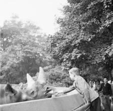 Zoos--Bronx Zoo