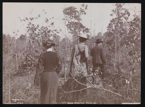 Quail Shooting, Aiken S.C.