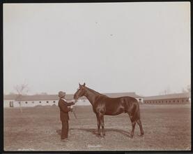 Racehorses, "Kennebunk."
