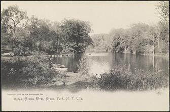 Bronx River, Bronx Park, N. Y. City.