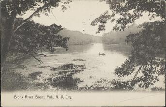 Bronx River, Bronx Park, N. Y. City.
