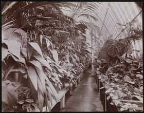 Residence, Miss Helen Gould (Late Jay Gould Residence).
