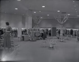 Department Stores--Suburban Branches of New York Stores