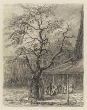 Stuyvesant Pear Tree, 1856