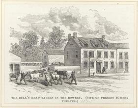 The Bull's Head in the Bowery.