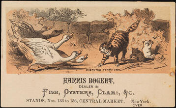 Harris Bogert