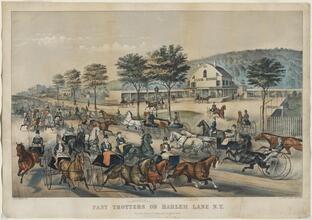 Fast Trotters on Harlem Lane N.Y.