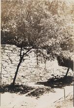 [West side of embankment of Old Croton Aqueduct.]