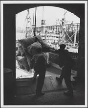 [Shipping.]