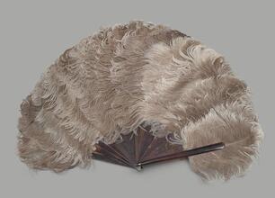 Folding feather fan of brown ostrich