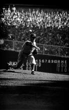 Sal Maglie