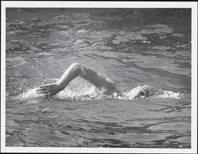 [Diana Nyad swimming around Manhattan Island.]