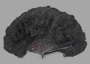 Folding feather fan of black ostrich