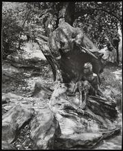 [Bear and faun fountain, Morningside Park at 114th Street.]