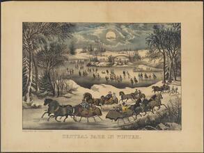 Central Park in Winter.