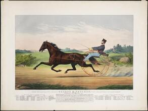 The Celebrated Horse George M. Patchen, "The Champion of the Turf."