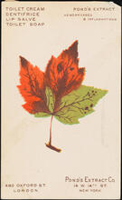 Pond's Extract Co.