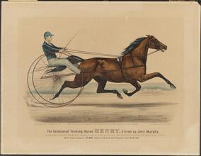 The Celebrated Trotting Horse Henry, driven by John Murphy.