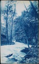[Bronx Park.]