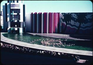 [Swimmers in Billy Rose's Aquacade.]