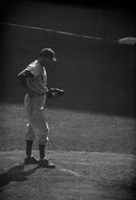 Sal Maglie