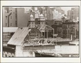 [Solar Greenhouse on top of 507-509 East 11th Street.]