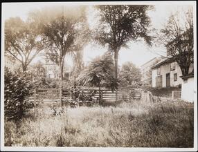 [Yards of houses on West 139th Street.]