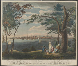 The City of New York in the State of New York. North America.